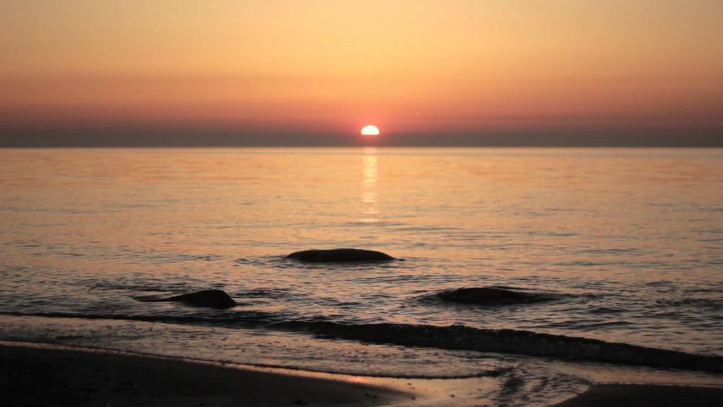 SUNSET DEEPS - APERITIVO TABLE